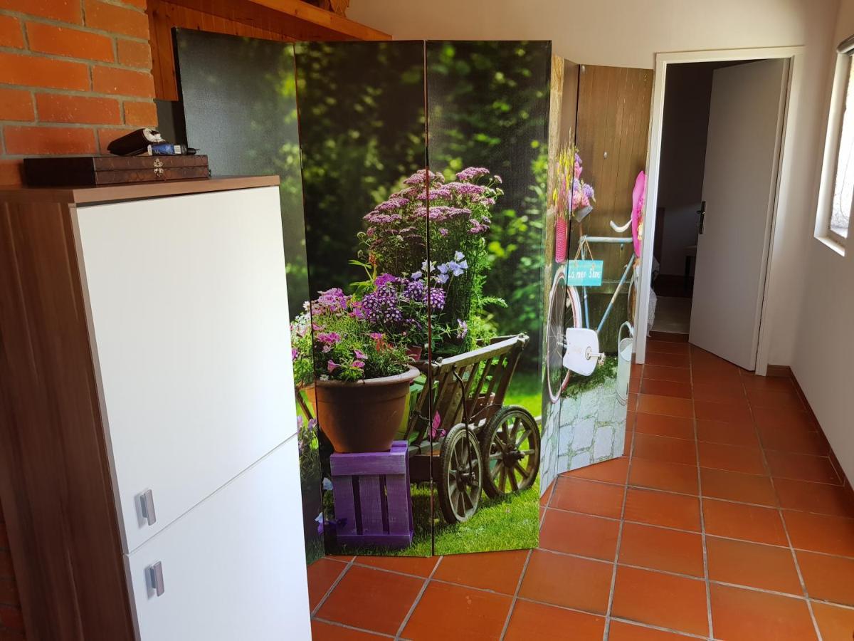 Casa Do Adro Hotell Viana do Castelo Eksteriør bilde